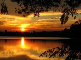 1380955_680277698649293_427699436_n