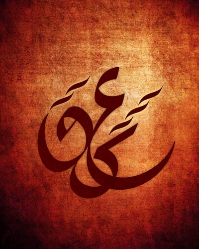 447420090525033832563