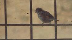 10245404_767258436639809_1516619408101394107_n