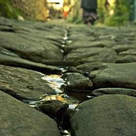 2656194-su-akar-yolunu-bulur