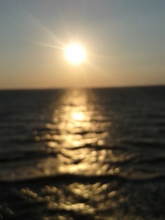 10553572_506564382821095_8487228787386384361_n